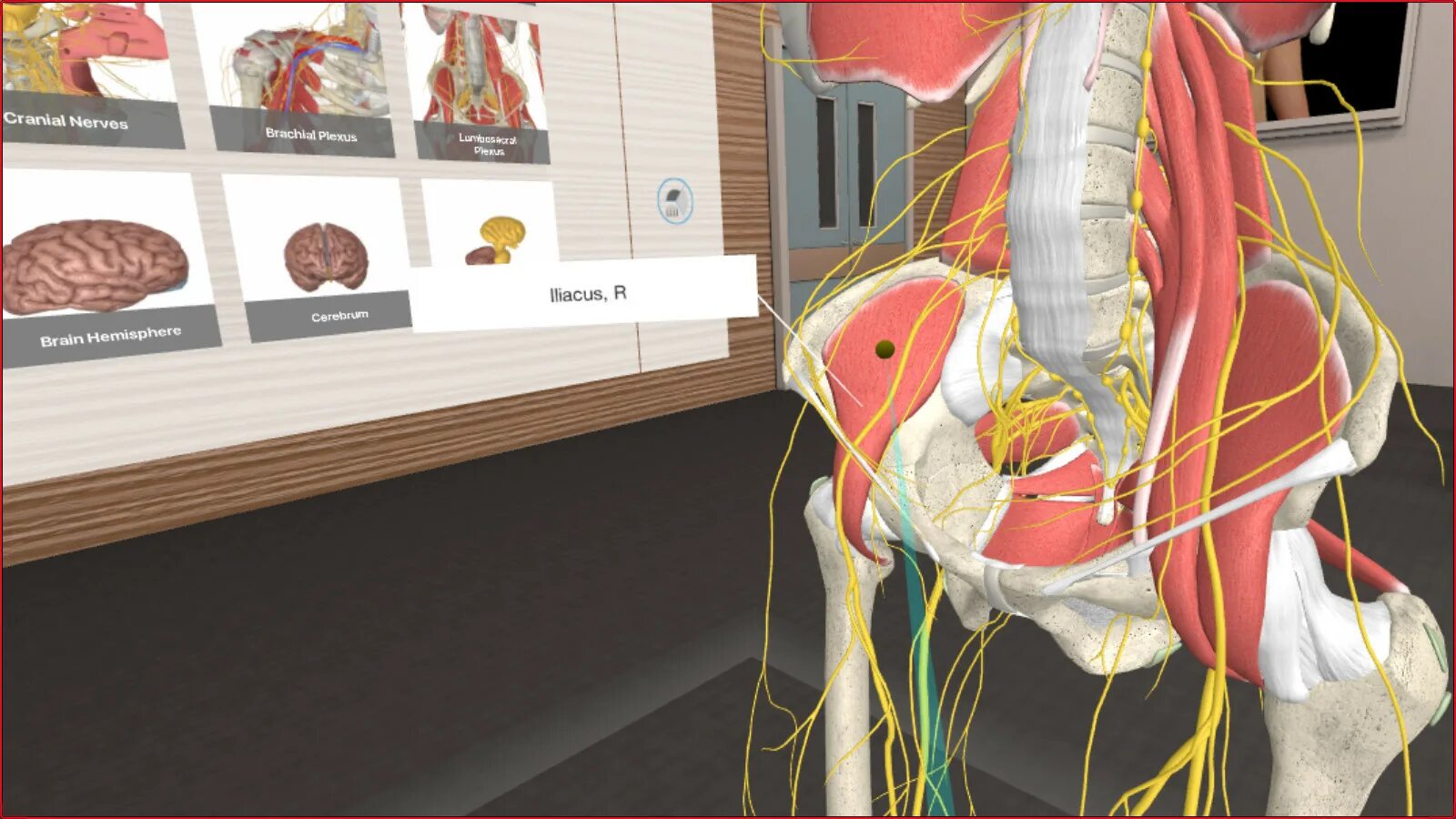 3d атлас анатомии человека. Organon VR. 3d Organon VR Anatomy. Анатомия человека 3d атлас по анатомии.