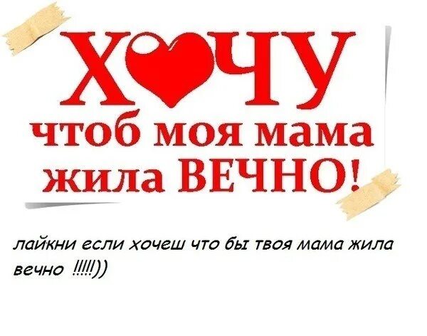 Мамочка живи. Мамы живите вечно. Живу с мамой форум. Мама живи вечно. Живу с мамой форум.