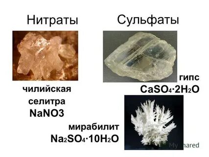 Нитраты нитриты сульфаты