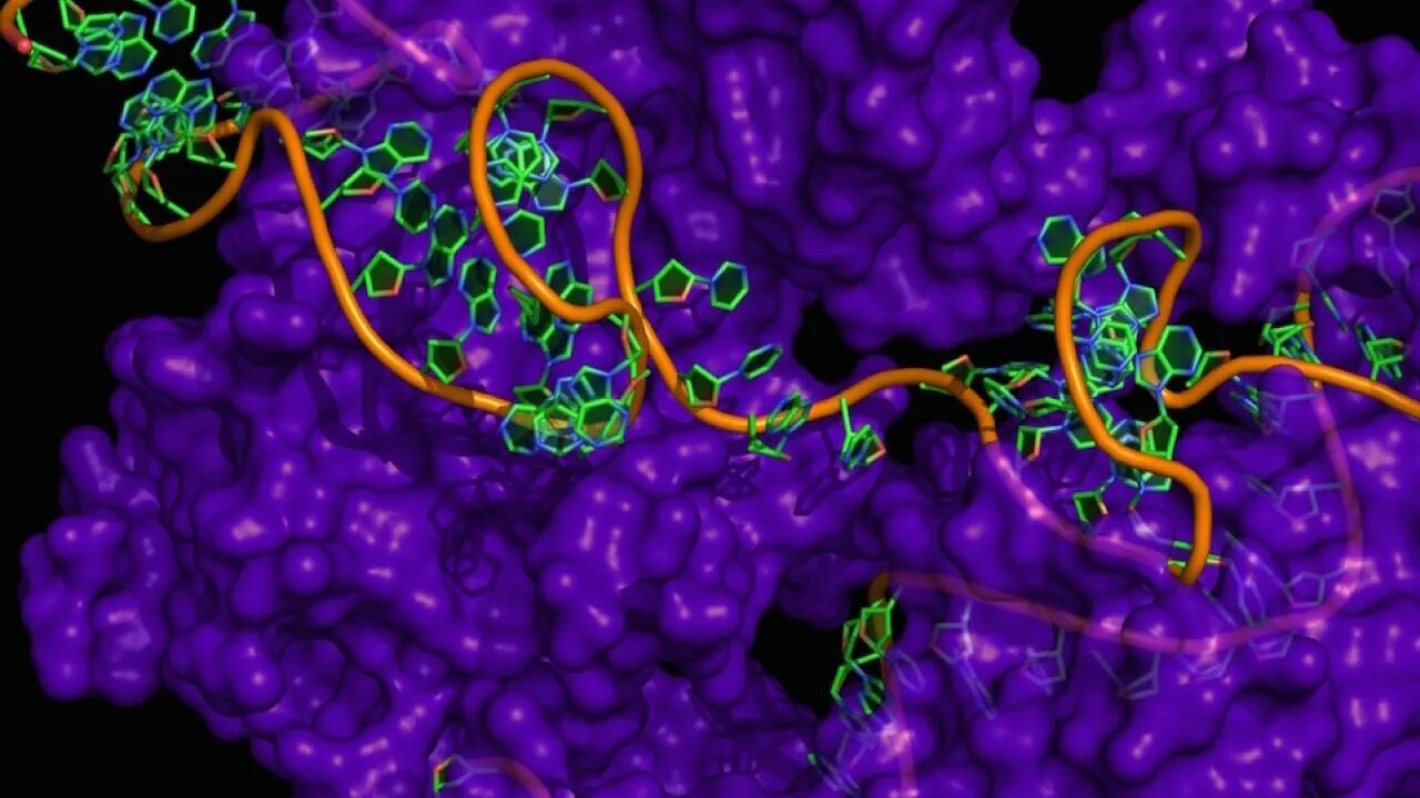 Генетические ножницы CRISPR/cas9. Генетика CRISPR. CRISPR биология. Молекулярная биология и генетика. Ген биология 9