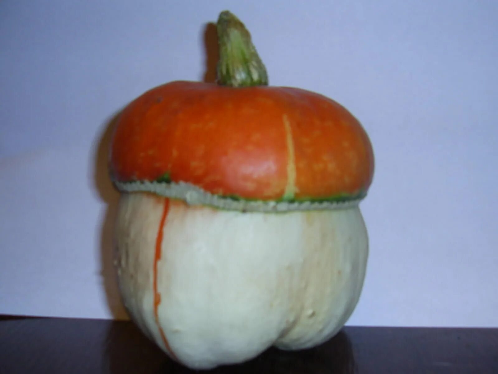 File:Pumpkin vegetable.jpg - Wikimedia Commons