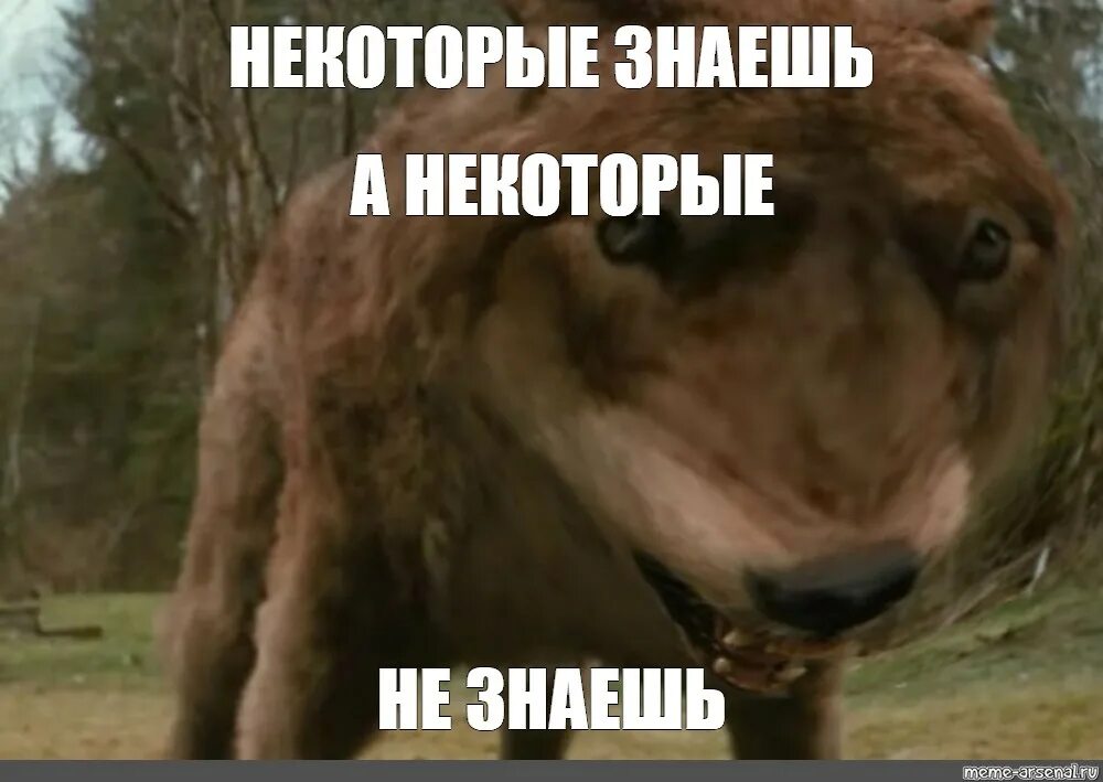 Некоторые не знают