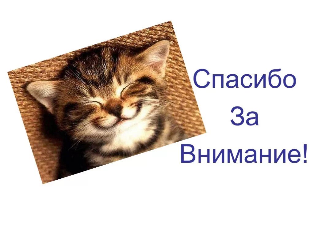 Спасибо за внимание. Спасибо за внимание для презентации. Спосиибозззззззззаввнимание. Спасибо за внимание котик.