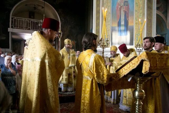 во всю землю изыде