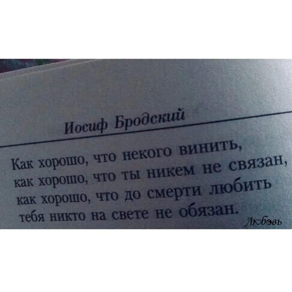 Как хорошо что некого винить бродский стих. Как хорошо что некого винить как хорошо что ты никем не. Тому кто винит других предстоит длинная дорога тот. В отрицательных местоимениях под ударением. Правописание отрицательных местоимений и наречий.