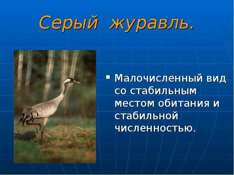 Журавль место обитания
