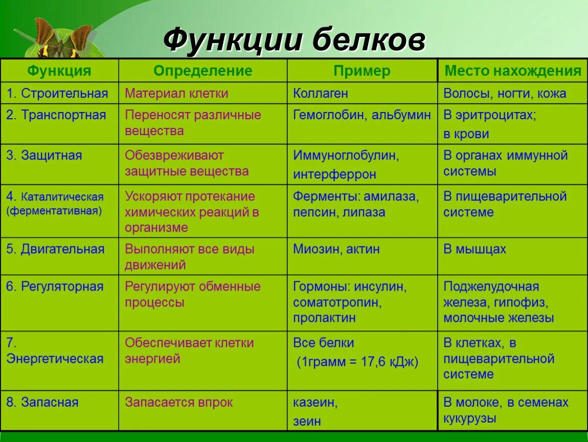 Биологическая роль структурной функции белков. Важнейшие биологические функции белков. Основной функции белков в организме. Биологическая роль и функция белков.