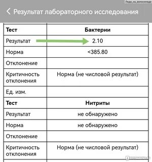 Монурал через сколько можно сдавать анализ