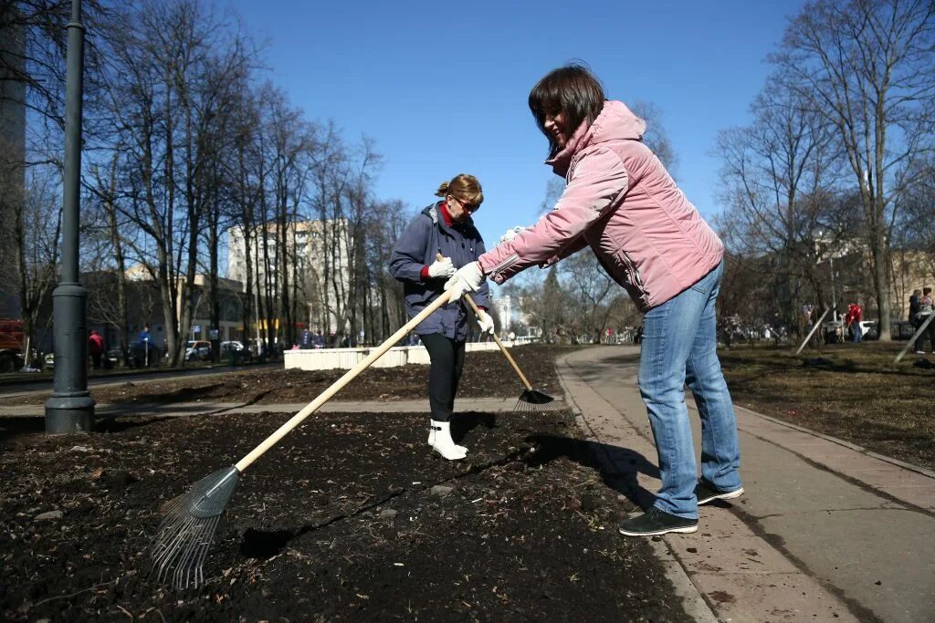 Субботник. Инвентарь для уборки территории на улице. Субботник по благоустройству территории.