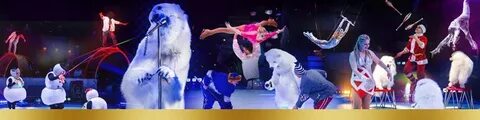 Цирк оренбург 2024