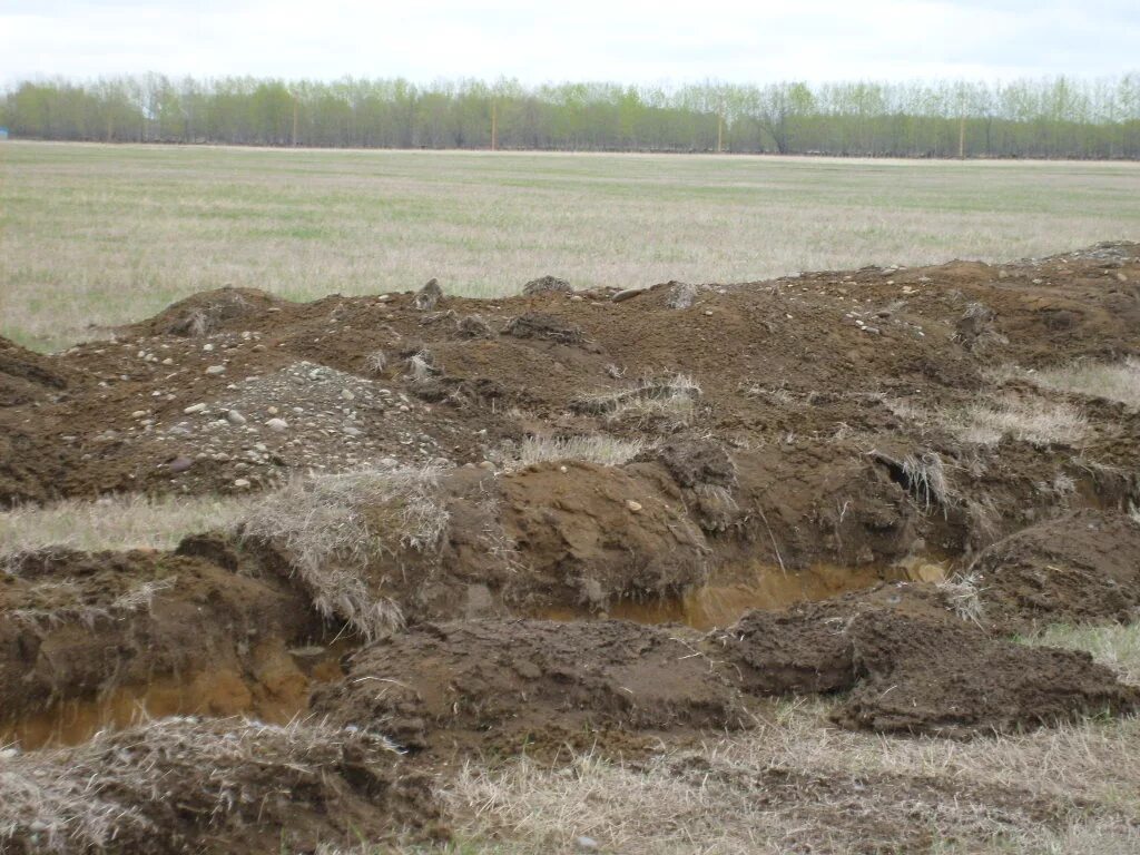 Дегумификация почв. Нарушение использования сельскохозяйственных земель. Последствия использования земельных участков. Ветровая эрозия (дефляция). Повседневная ветровая эрозия.