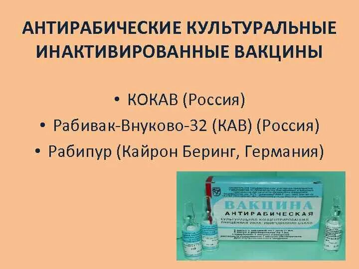 Введение антирабической вакцины