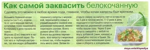 Сколько киснет капуста