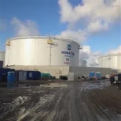 газовый конденсат новатэк