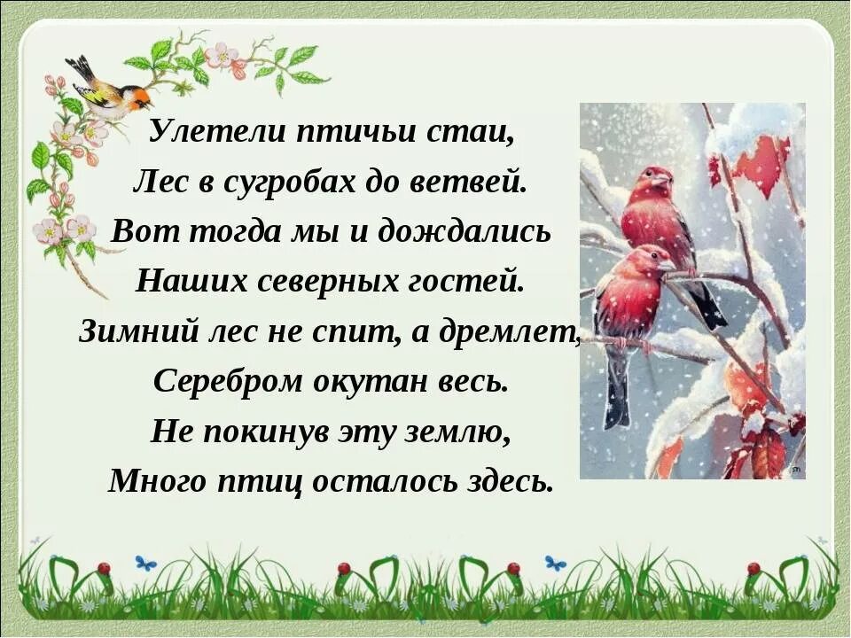 Стихотворение про птиц. Стихи про птиц. стихи про птиц для детей. стихи про зимующих птиц. стихи про зимующих птиц для детей.