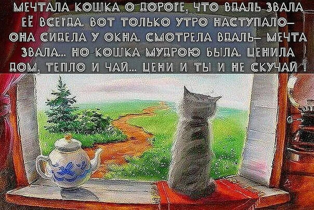 Мечтающая кошка. Кошка мечтает. Утро только наступает. Мечтала кошка о дороге что вдаль. О чем мечтает кошка?.