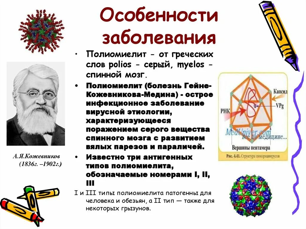 Полиомиелит это простыми словами. Вирус полиомиелита строение. Вирус полиомиелита характеристика. Структура вируса полиомиелита. Полиомиелит структура.