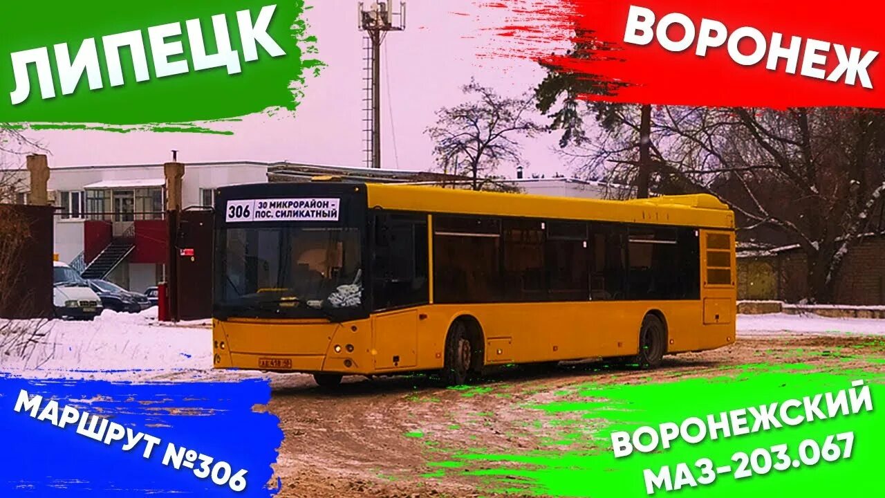 Маз 206 липецк маршрут 300. Автобус 306в воронеж. Паз 32054 162 уо. Паз 3205 маршрут 76 воронеж. Паз 32054 воронежский.