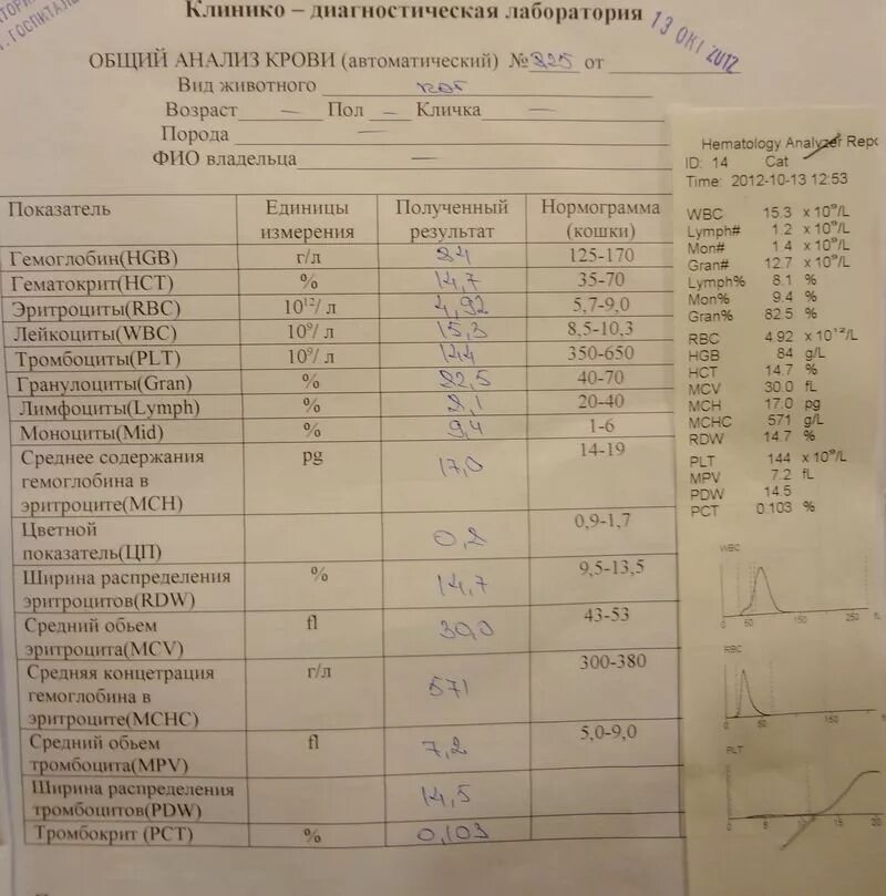 Биохимия крови кота. Анализ крови. Исследование анализа крови. ОАК общий анализ крови. Общий анализ крови развёрнутый.