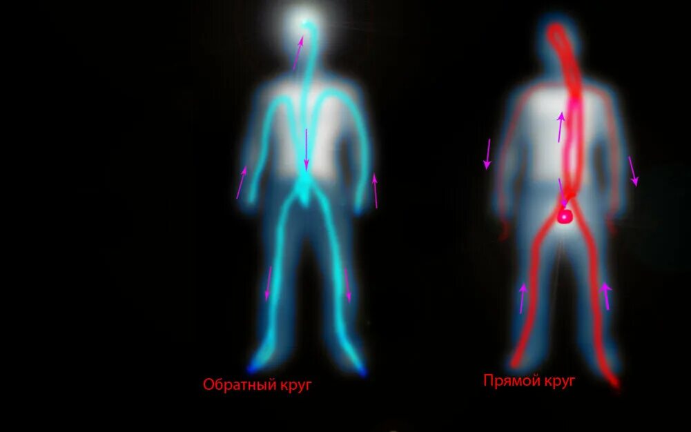 Прямой обратный круг. Прямой и обратный даосский круг энергии. Прямой и обратный круг энергетические. Обратный даосский круг. Прямой даосский круг.