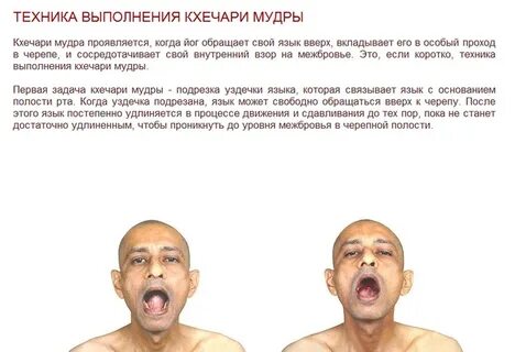 Техника языка