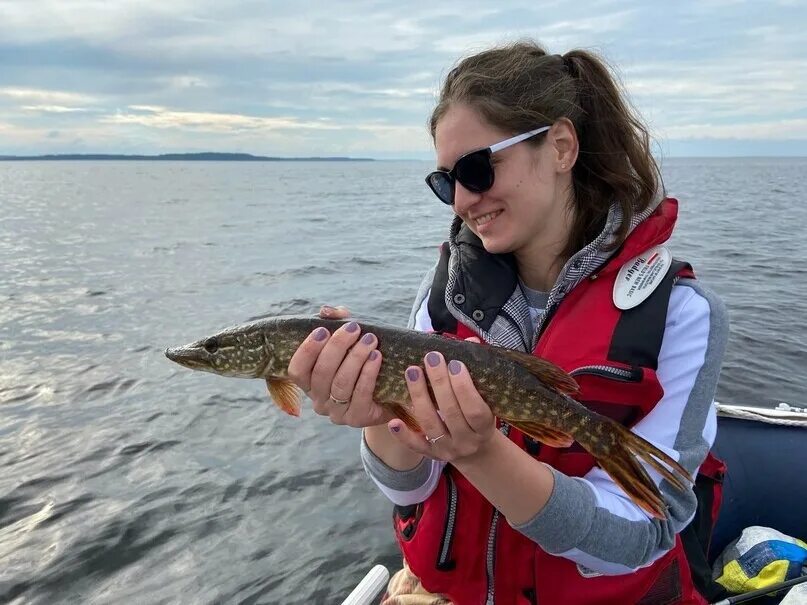 сямозеро зимняя рыбалка. сямозеро рыбалка 2022. озеро сямозеро карелия рыбалка. рыбалка на сямозере в карелии. озеро сямозеро карелия.