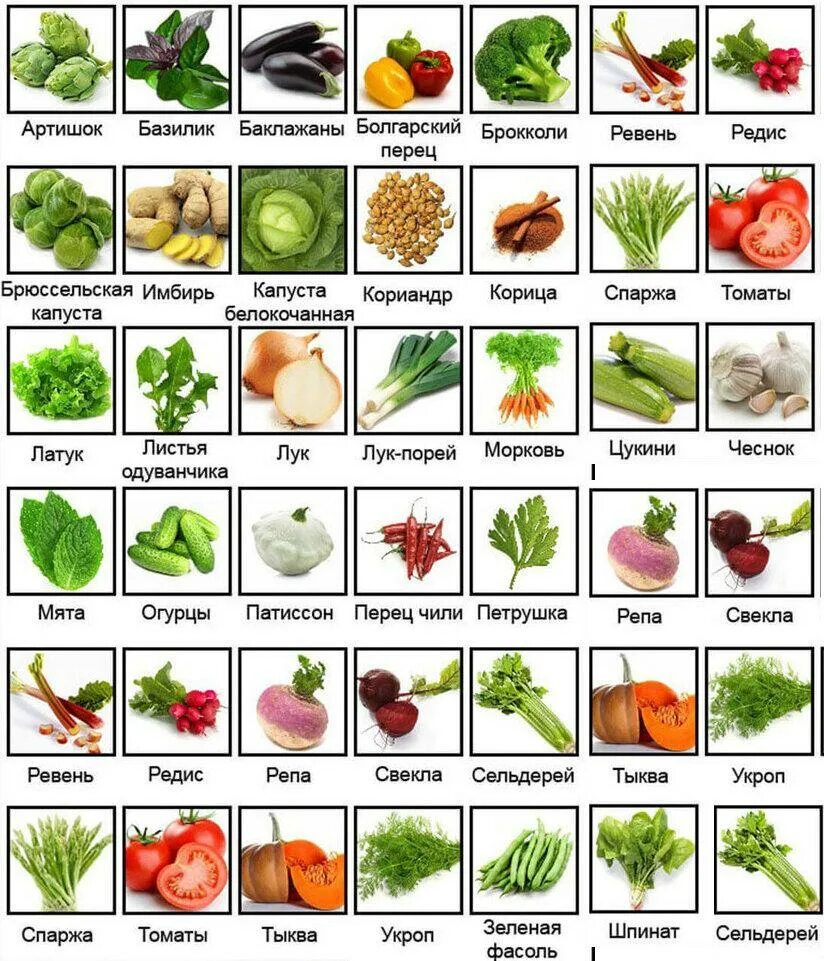 Овощи список. Список овощей и фруктов. Название всех овощей. Овощи названия по алфавиту. Какие фрукты относятся к овощам