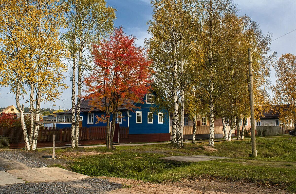 нижний тагил осень. осень в протвино. золотая осень славутича. пансионат золотая осень сарапул. парк винновская роща осенью.