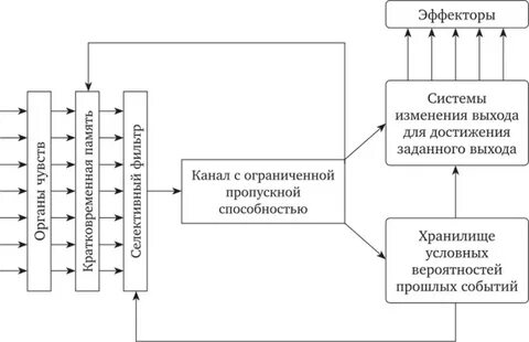 Модель внимания бродбента