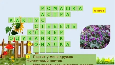 Многолетнее растение 6 букв кроссворд