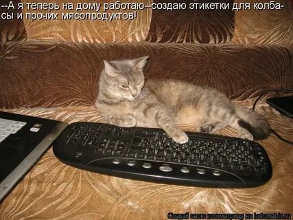 Ти домашний