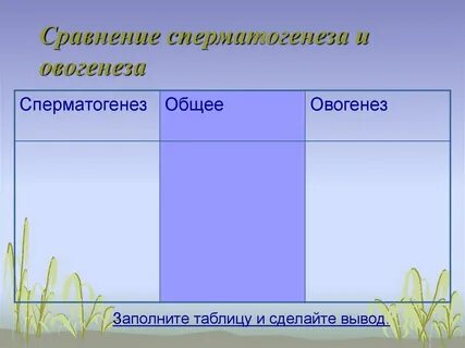 Таблица сравнения сперматогенеза и овогенеза