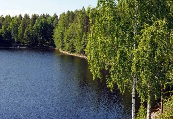 Ждановское озеро. Ждановское озеро всеволожск. 1-е ждановское озеро. ждановские озера.