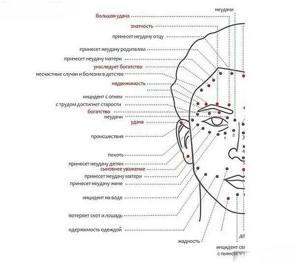 Родимое пятно значение у женщин. Карта родинок на лице у мужчин. Обозначение родинок на лице. Схема расположения родинок на лице. Родинки на лице у мужчин и их значение схема.