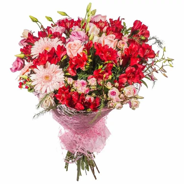 Букет роза хризантема альстромерия. Букет хризантема гвоздика альстромерия. Букет из роз хризантем и альстромерий. Букет из роз хризантем и альстромерий. Букет розы хризантемы альстромерии.