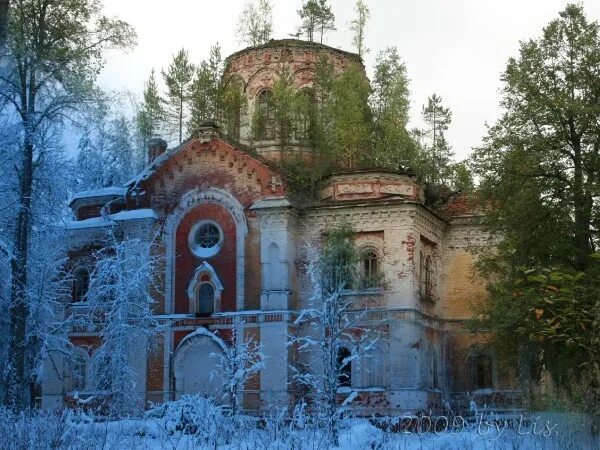 Дрегли новгородская область. Реконьский монастырь Новгородской области. Рёконьская пустынь Любытино. Дрегли Любытинского района. Храм Рождества Христова в Заозерье.