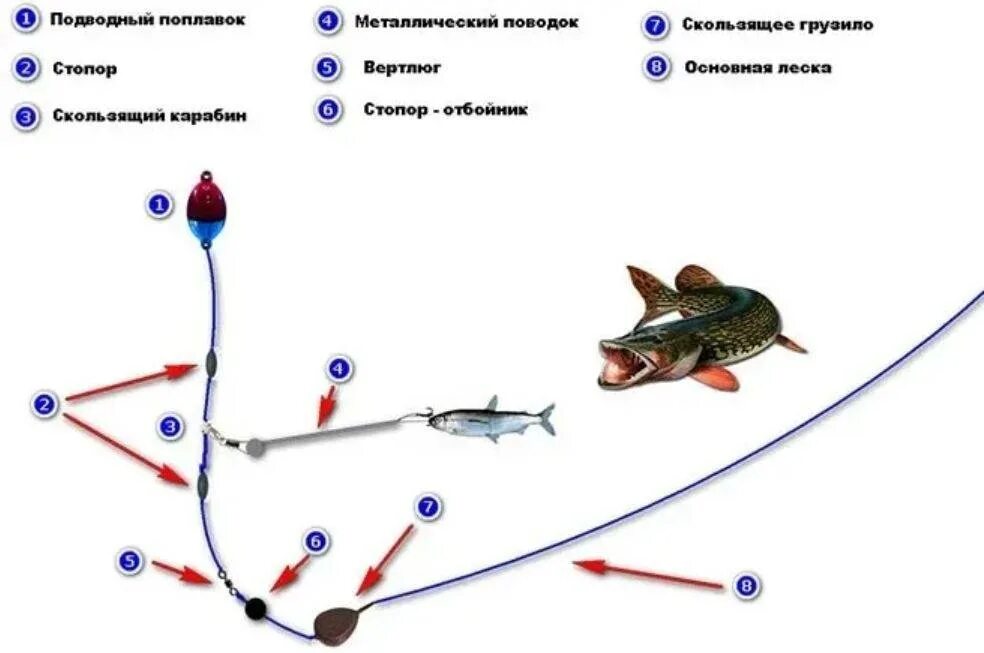 Оснастки на ловлю щуки