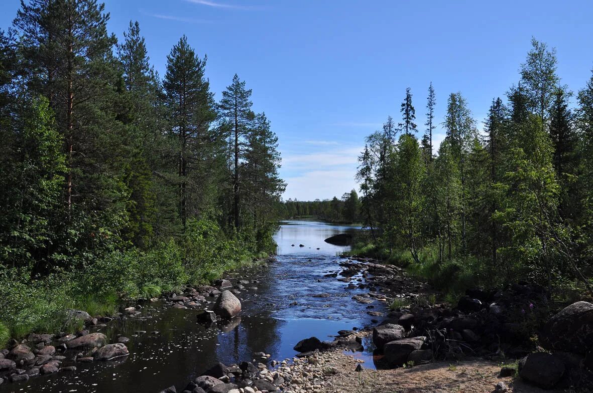 шхеры ладожского озера. озера карелии. карелия летом шхеры. озеро тулос карелия.