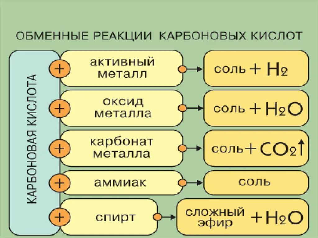 С чем реагируют соли карбоновых кислот. Химические свойства кислот неорганическая химия. Химические реакции карбоновых кислот таблица. С какими органическими веществами реагируют кислоты. Реакция карбоновых кислот с металлами