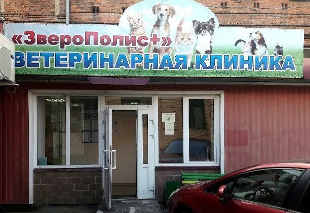 Зверополис таганрог