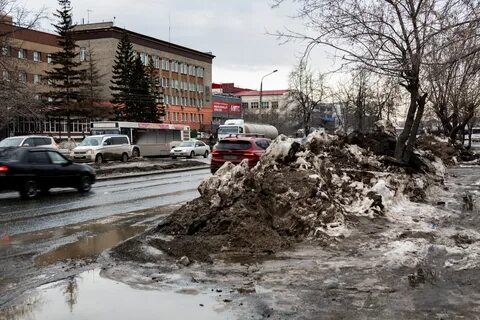 Потепление в новосибирске