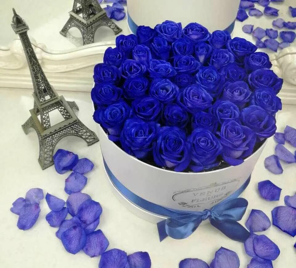 Синий день. Букет синих роз. Синяя роза. Красивый букет синих роз. Синие розы в коробке.