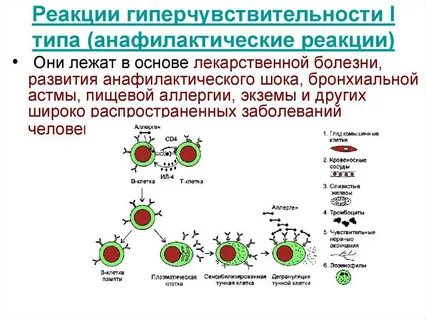 Аллергия немедленного типа