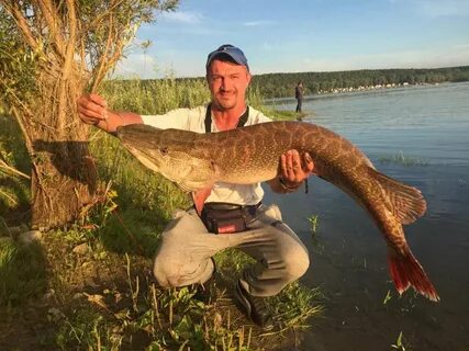 Много ребят увлекаются рыбалкой