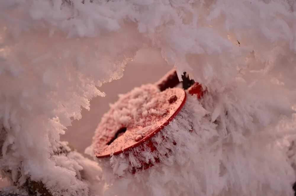 Сердечко во льду. Наши сердца разобьются этой зимой. Наши сердца разобьются этой зимой. Сердце в ладонях. Осколки сердец.