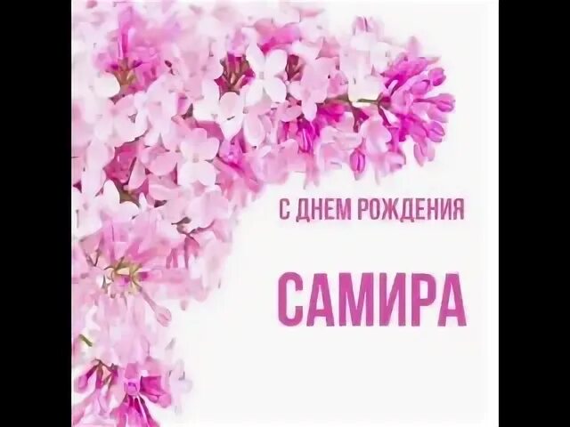 Вики тоже