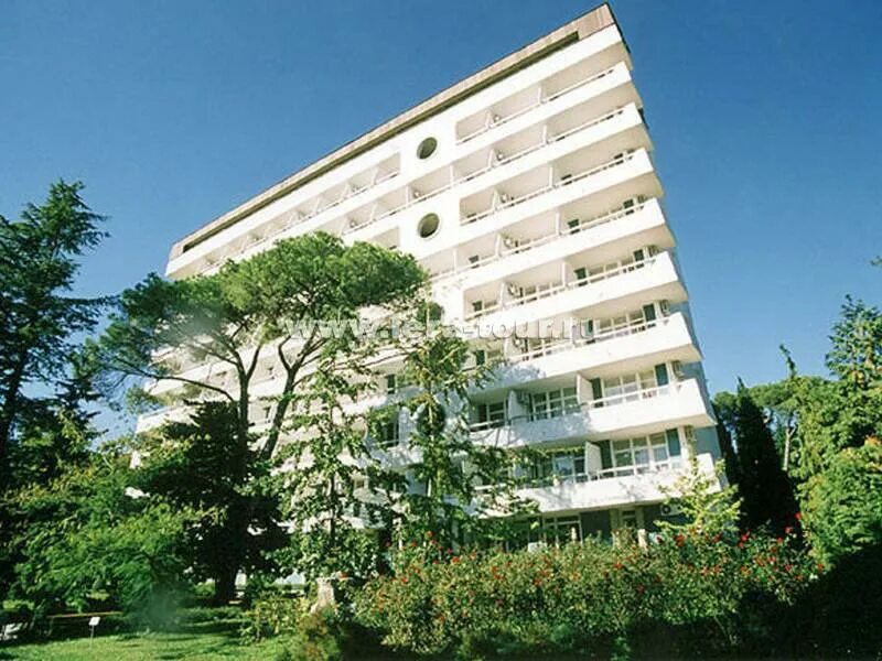 санаторий фрунзе сочи 2024. санаторий им фрунзе сочи. санаторий фрунзе сочи 2024. санаторий им. санаторий имени фрунзе сочи.