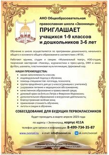 Общеобразовательная автономная некоммерческая организация школа
