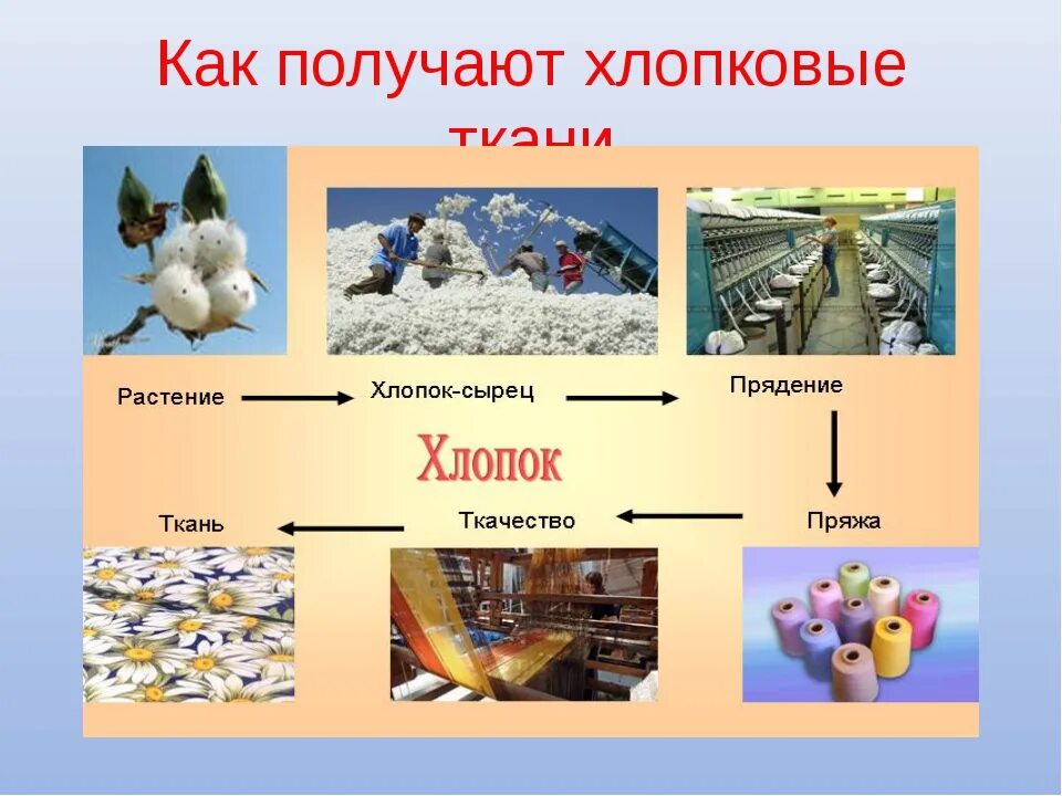 Какие изделия получают из растений
