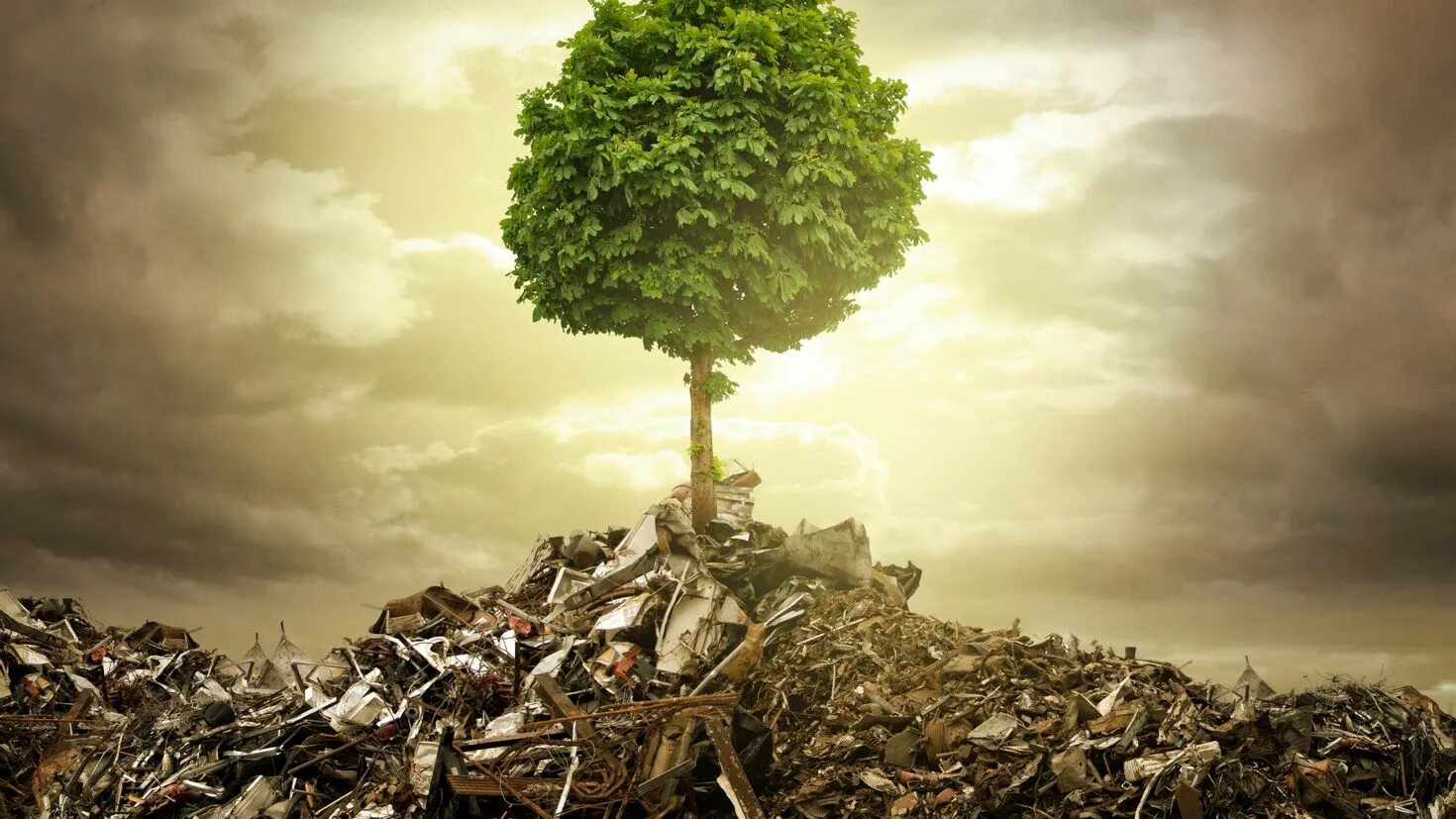Environment pictures. Environment pictures
